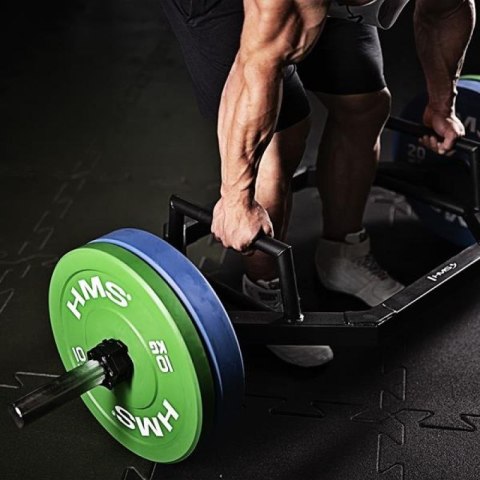 Talerz olimpijski HMS GRAY 5 kg CBR05
