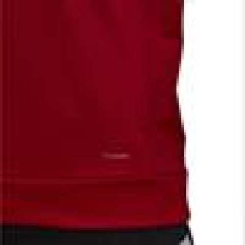 Bluza adidas Team 19 Hoody M DX7335 czerwona