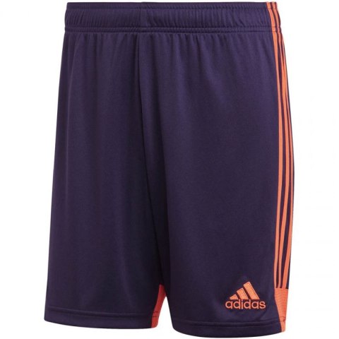 Spodenki adidas Tastigo 19 Shorts M DP3252 Spodenki adidas Tastigo 19 Shorts M DP3252