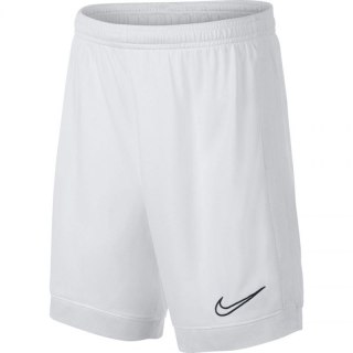 Spodenki piłkarskie Nike Dry Academy JR AO0771-101
