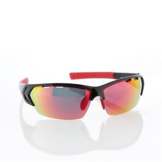 OKULARY PRZECIWSŁONECZNE GOGGLE FW12 T428-2