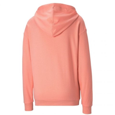Bluza Puma Modern Basics Hoodie W 585933 26 Bluza Puma Modern Basics Hoodie W 585933 26