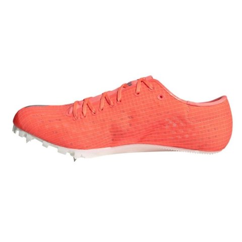 Buty kolce do biegania adidas Adizero Finesse Spikes M EE4598 Buty kolce do biegania adidas Adizero Finesse Spikes M EE4598