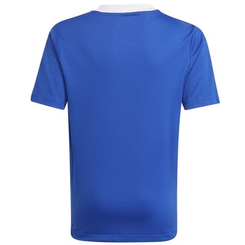 Koszulka adidas Tiro 21 Tr Jsy Y Jr GM7577 Koszulka adidas Tiro 21 Tr Jsy Y Jr GM7577