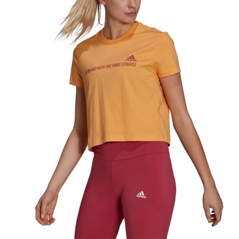 Koszulka adidas Gradient Logo Cropped W GM5579 Koszulka adidas Gradient Logo Cropped W GM5579