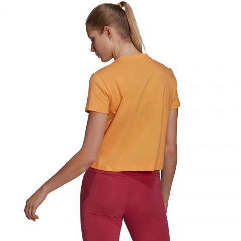 Koszulka adidas Gradient Logo Cropped W GM5579 Koszulka adidas Gradient Logo Cropped W GM5579