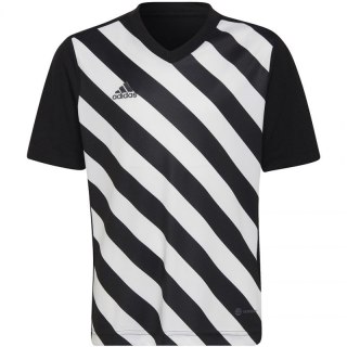 Koszulka adidas Entrada 22 Graphic Jersey Jr HF0123