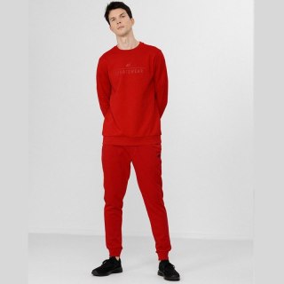 Spodnie 4F M H4L22-SPMD350 62S