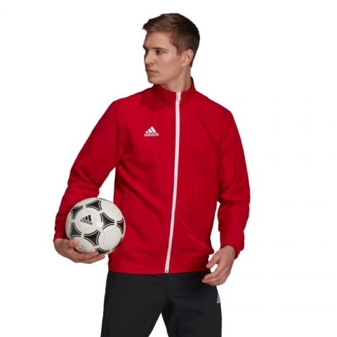 Bluza adidas Entrada 22 Presentation Jacket M H57536 Bluza adidas Entrada 22 Presentation Jacket M H57536