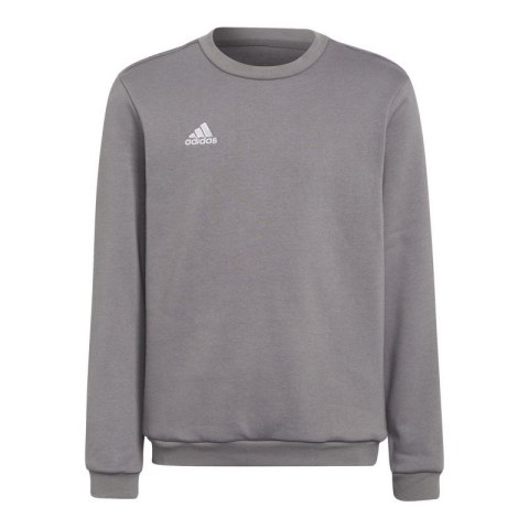 Bluza adidas Entrada 22 Sweat Top Jr H57477 Bluza adidas Entrada 22 Sweat Top Jr H57477