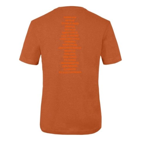 Salewa Pure Dolomites Hemp Men's T-Shirt 28329-4170 Salewa Pure Dolomites Hemp Men's T-Shirt 28329-4170