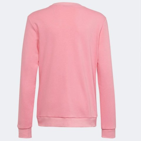 Bluza adidas D Sweat Jr HM4442 Bluza adidas D Sweat Jr HM4442