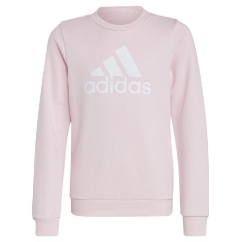 Bluza adidas Big Logo Swt Jr IC6119 Bluza adidas Big Logo Swt Jr IC6119