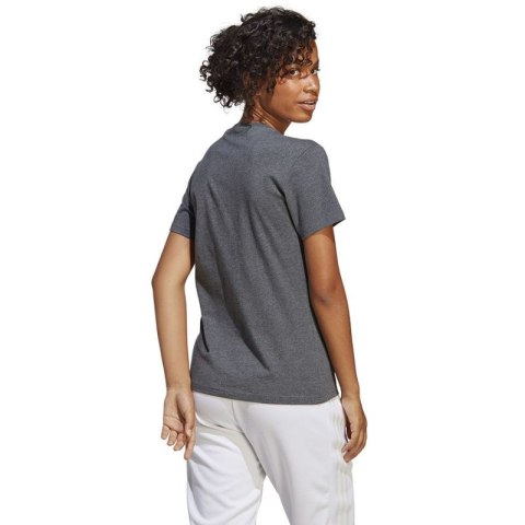 Koszulka adidas Big Logo Tee W IC0634 Koszulka adidas Big Logo Tee W IC0634