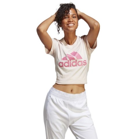 Koszulka adidas Big Logo Tee W IB9455
