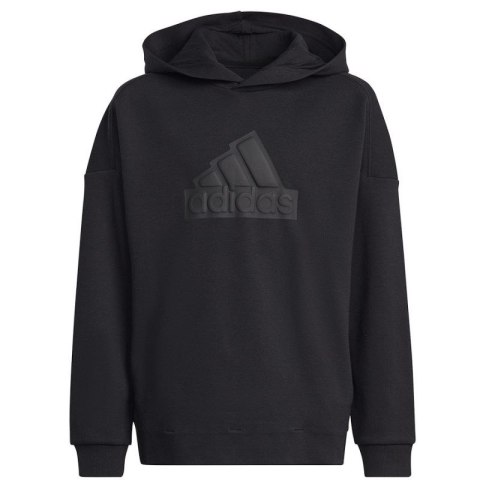 Bluza adidas FI Logo HD Jr HR6301 Bluza adidas FI Logo HD Jr HR6301