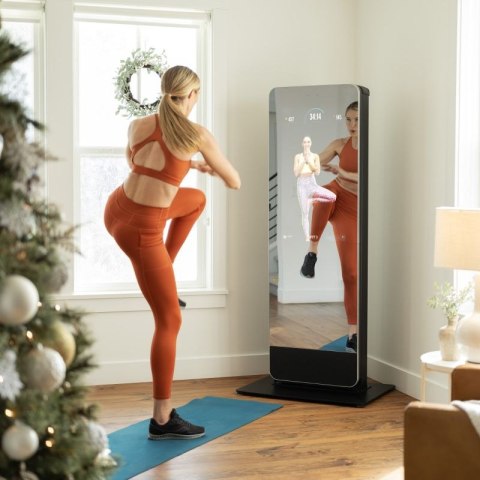 Lustro Nordictrack Fitness Vault NTB150191 Lustro Nordictrack Fitness Vault NTB150191