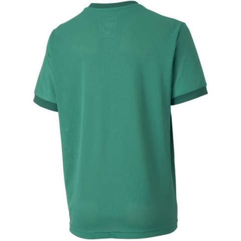 Koszulka Puma teamGOAL 23 Jersey Jr 704160 05 Koszulka Puma teamGOAL 23 Jersey Jr 704160 05