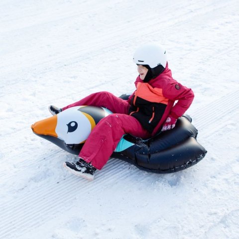 Ślizg śnieżny Meteor Penguin 16763