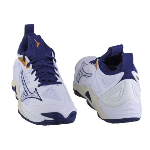Buty Mizuno Wave Momentum 3 M V1GA231243