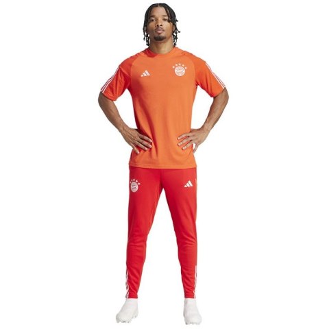 Koszulka adidas FC Bayern CO Tee M IQ0601 Koszulka adidas FC Bayern CO Tee M IQ0601