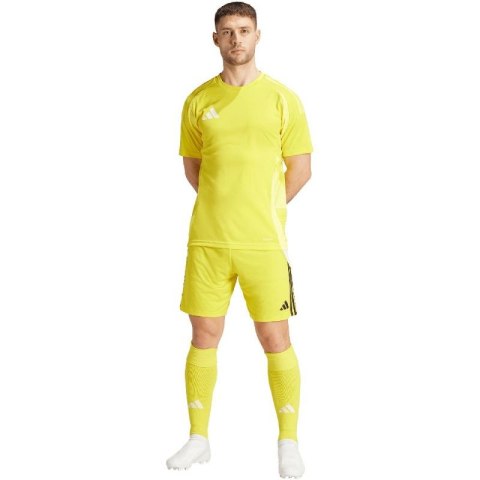 Spodenki adidas Tiro 24 M IS1409 Spodenki adidas Tiro 24 M IS1409
