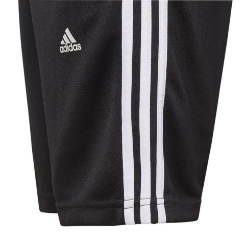 Spodenki adidas Designed 2 Move 3-Stripes Shorts Jr HI6833 Spodenki adidas Designed 2 Move 3-Stripes Shorts Jr HI6833
