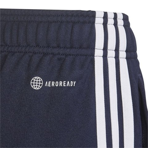 Spodenki adidas Designed 2 Move 3-Stripes Shorts Jr HN8544 Spodenki adidas Designed 2 Move 3-Stripes Shorts Jr HN8544