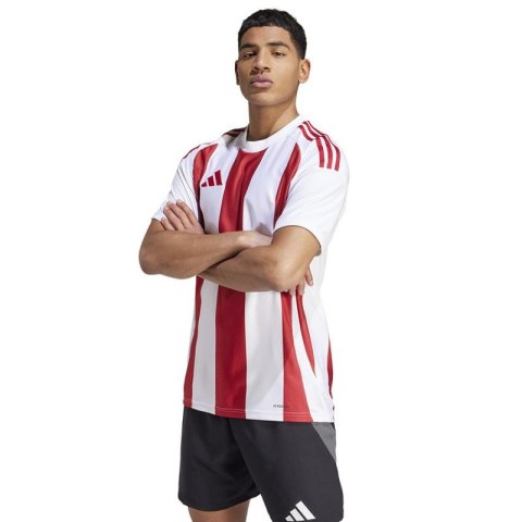 Koszulka adidas Striped 24 JSY M IW2142 Koszulka adidas Striped 24 JSY M IW2142
