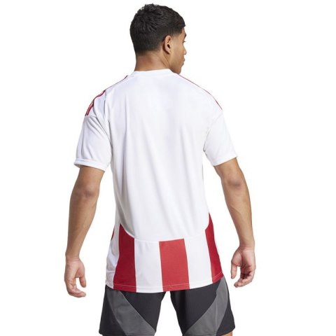 Koszulka adidas Striped 24 JSY M IW2142 Koszulka adidas Striped 24 JSY M IW2142