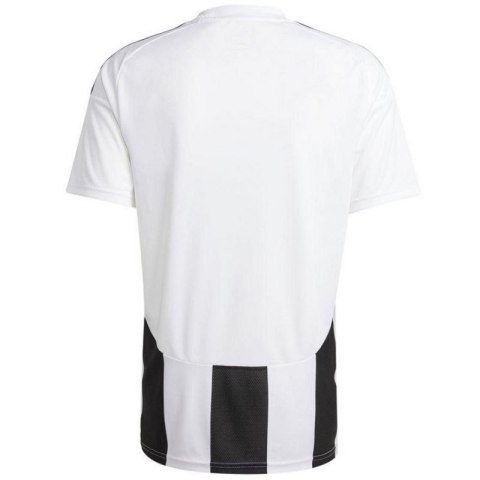 Koszulka adidas Striped 24 JSY M IW2143 Koszulka adidas Striped 24 JSY M IW2143