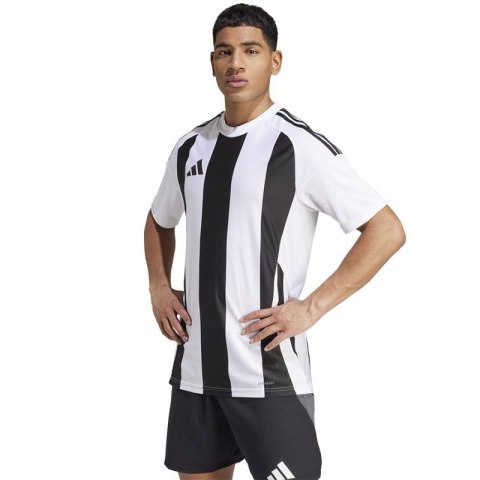 Koszulka adidas Striped 24 JSY M IW2143 Koszulka adidas Striped 24 JSY M IW2143