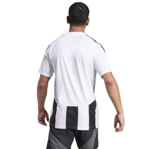 Koszulka adidas Striped 24 JSY M IW2143 Koszulka adidas Striped 24 JSY M IW2143