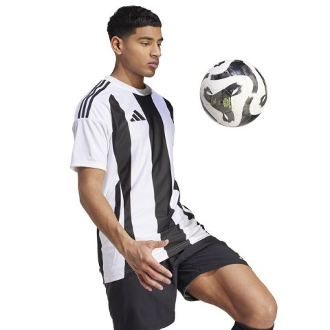 Koszulka adidas Striped 24 JSY M IW2143 Koszulka adidas Striped 24 JSY M IW2143