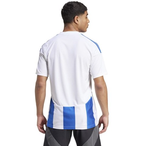 Koszulka adidas Striped 24 JSY M IW2144 Koszulka adidas Striped 24 JSY M IW2144