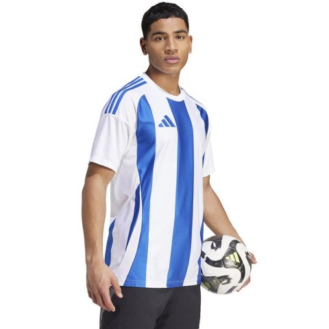 Koszulka adidas Striped 24 JSY M IW2144 Koszulka adidas Striped 24 JSY M IW2144