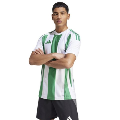 Koszulka adidas Striped 24 JSY M IW2148 Koszulka adidas Striped 24 JSY M IW2148