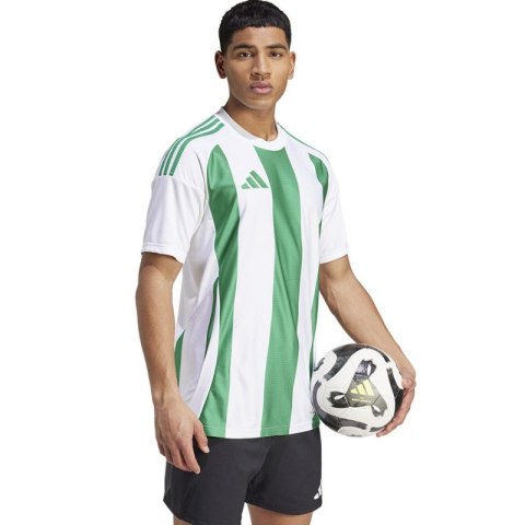 Koszulka adidas Striped 24 JSY M IW2148 Koszulka adidas Striped 24 JSY M IW2148