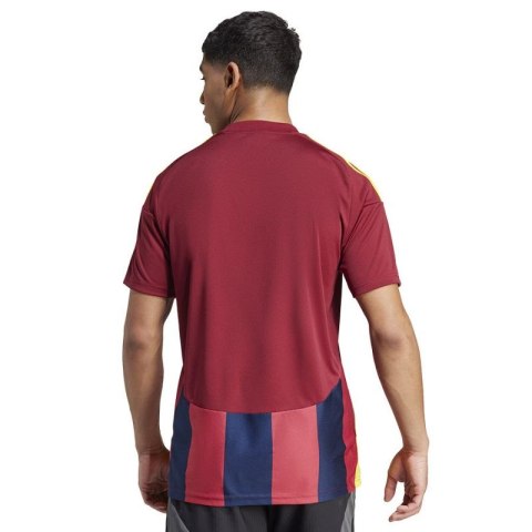 Koszulka adidas Striped 24 JSY M IW2149 Koszulka adidas Striped 24 JSY M IW2149