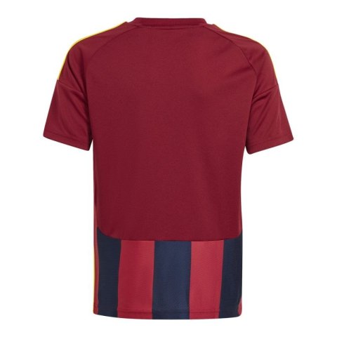 Koszulka adidas Striped 24 Jr IW2139 Koszulka adidas Striped 24 Jr IW2139
