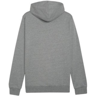 Bluza Puma Team Goal Casuals Hoody M 658618 33