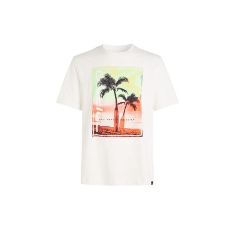 Koszulka O'Neill Jack Neon T-Shirt M 92800613598 Koszulka O'Neill Jack Neon T-Shirt M 92800613598