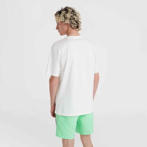 Koszulka O'Neill Jack Neon T-Shirt M 92800613598 Koszulka O'Neill Jack Neon T-Shirt M 92800613598