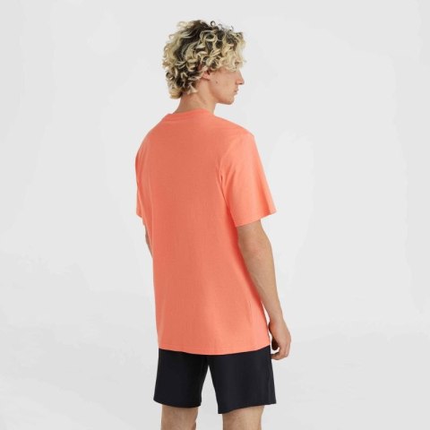 Koszulka O'Neill Jack Neon T-Shirt M 92800613602 Koszulka O'Neill Jack Neon T-Shirt M 92800613602