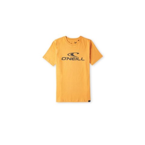 Koszulka O'Neill Rutile Wave T-Shirt Jr 92800620356 Koszulka O'Neill Rutile Wave T-Shirt Jr 92800620356