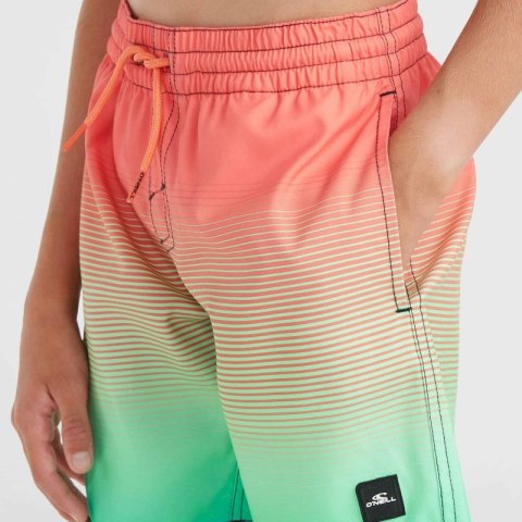 Szorty kąpielowe O'Neill Jack Cali Gradient 14'' Swim Shorts Jr 92800613570 Szorty kąpielowe O'Neill Jack Cali Gradient 14'' Swim Shorts Jr 92800613570
