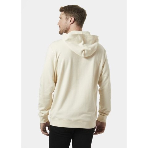 Bluza Helly Hansen Core Graphic Sweat Hoodie M 53924 034 Bluza Helly Hansen Core Graphic Sweat Hoodie M 53924 034