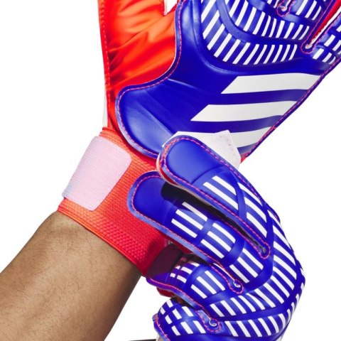 Rękawice bramkarskie adidas Predator Training IX3870 Rękawice bramkarskie adidas Predator Training IX3870