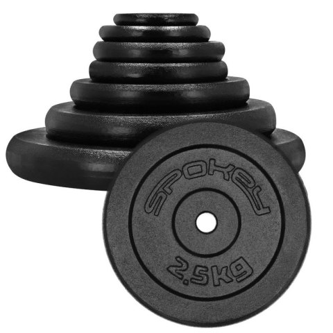 Obciążenie żeliwne 2,5kg Spokey Sinis SPK-944483 Obciążenie żeliwne 2,5kg Spokey Sinis SPK-944483