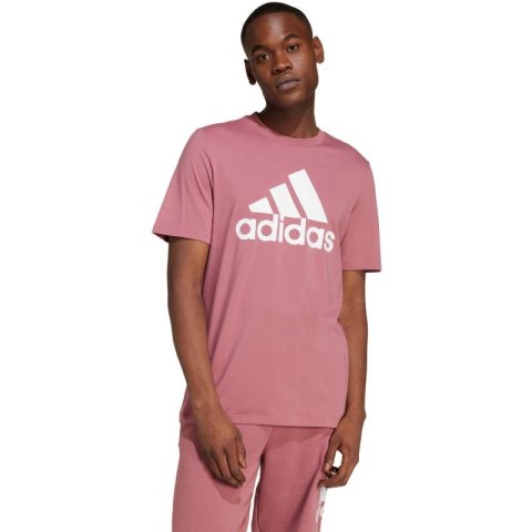 Koszulka adidas Essentials Single Jersey Big Logo Tee M IX0137